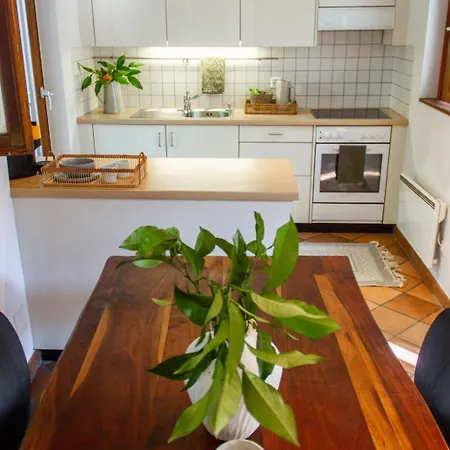 Ferienhaus Rustico Felicita -free Parking - Near Locarno