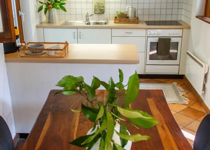 Ferienhaus Rustico Felicita -free Parking - Near Locarno